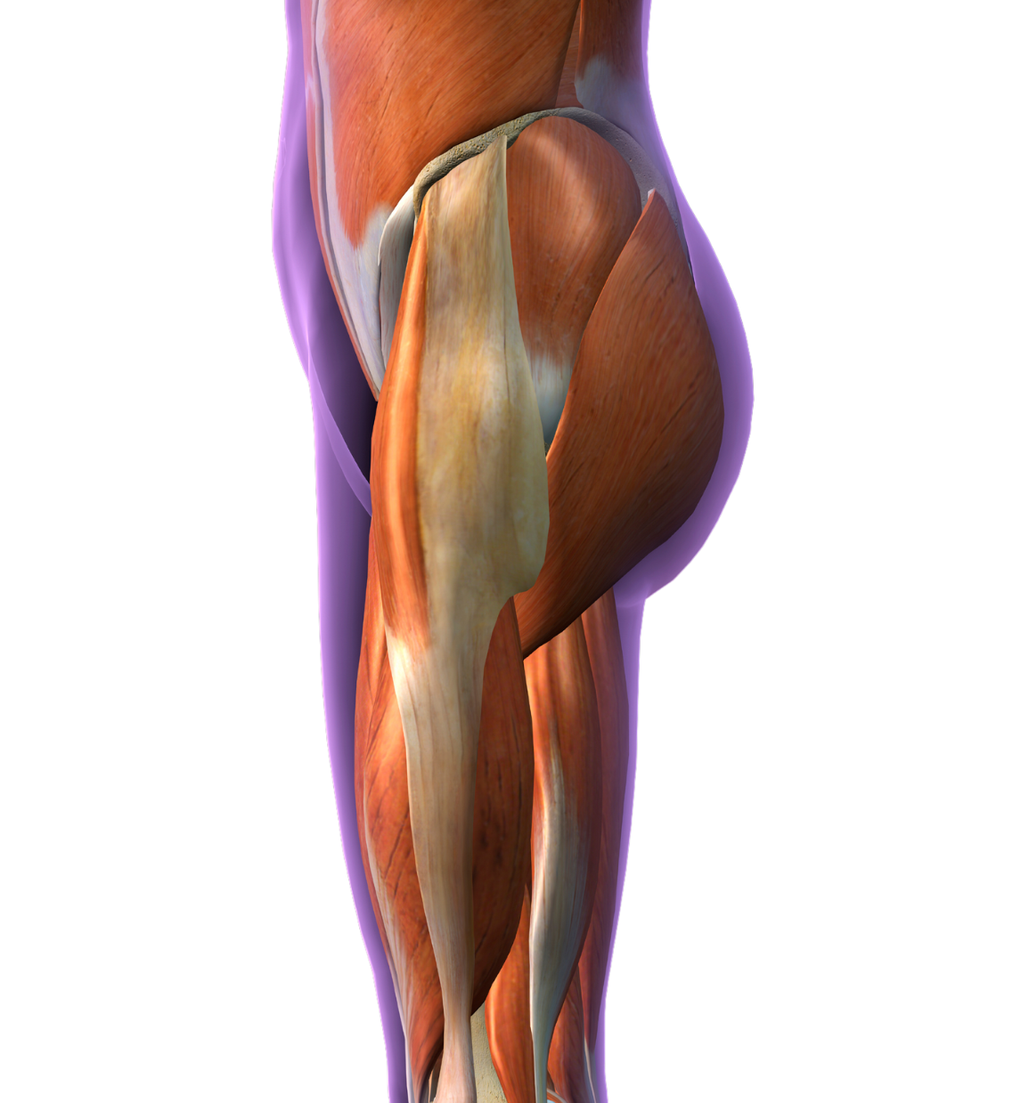 パーツ Profile PAT.PEND H.I.P Profile PAT.PEND H.I.P MTB H.I.P STEM - モトクロスインターナショナル